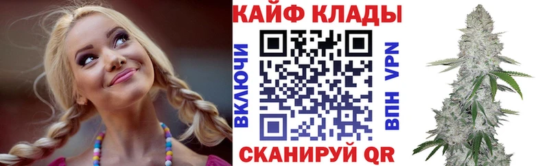 Где купить Нарьян-Мар A-PVP  МДМА  АМФ  ГАШ  Меф  Псилоцибиновые грибы 