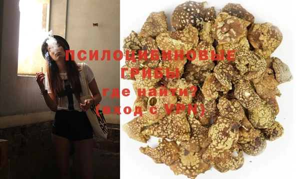 мескалин Белокуриха